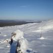 DSC00847.jpg