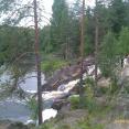 IMAG0832.jpg