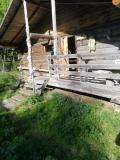 IMG-20210725-WA0000.jpg