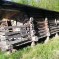IMG-20210725-WA0001.jpg