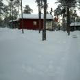 IMG-20250111-WA0018.jpg