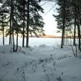 IMG-20250111-WA0035.jpg