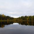 IMG-20240910-WA0004.jpg